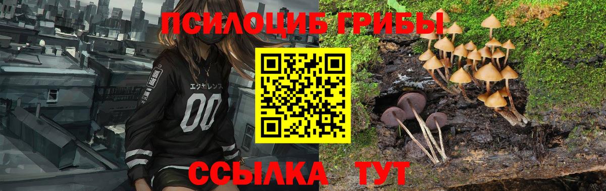 Псилоцибиновые грибы MAGIC MUSHROOMS Лыткарино