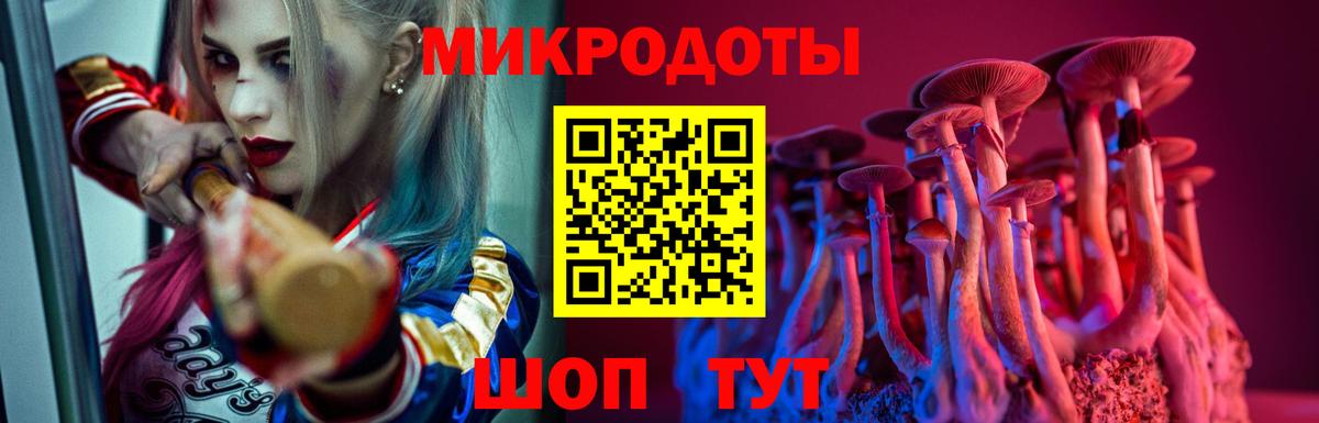 Псилоцибиновые грибы GOLDEN TEACHER  Вход с VPN  Лыткарино 
