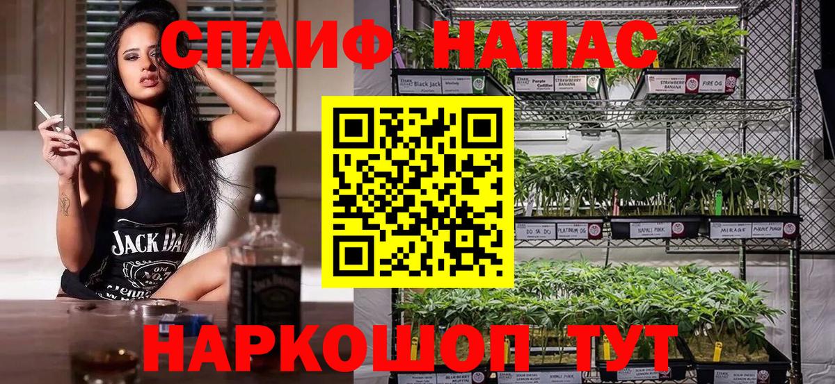 Бошки Шишки Amnesia Лыткарино